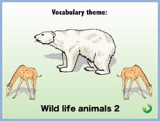Wildlife animals 2.zip